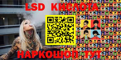 крисы Кунгур