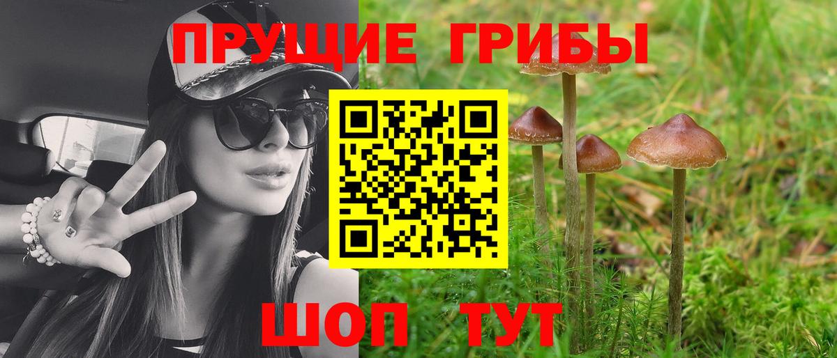 Псилоцибиновые грибы прущие грибы  Вход с VPN  Кириши 