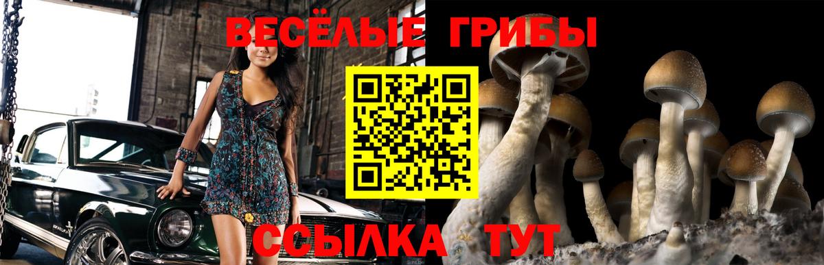 Мефедрон Кириши